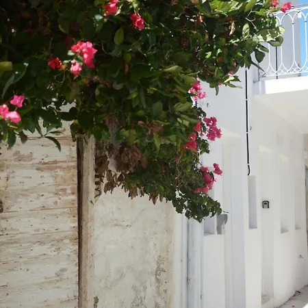 Διαμέρισμα Cozy 1 *