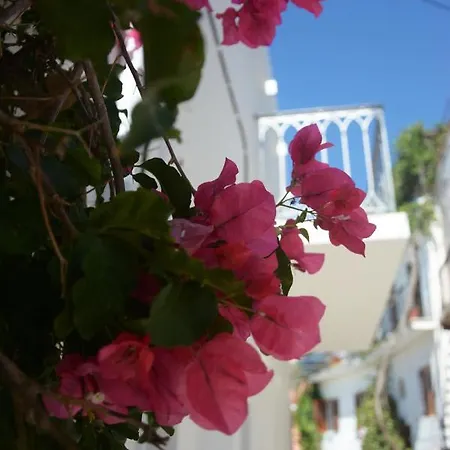 Διαμέρισμα Cozy 1