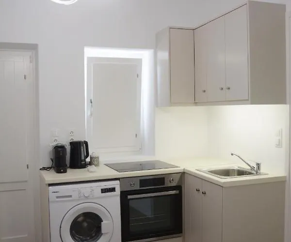 Cozy 1 公寓 Tínos